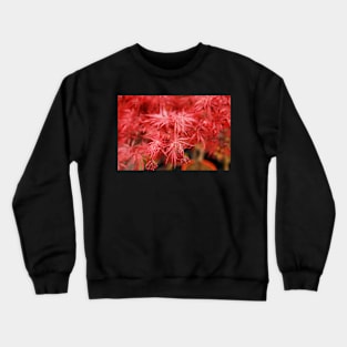 Red Acer Leaves Crewneck Sweatshirt